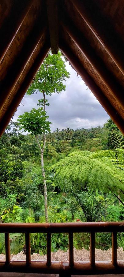 Second Home Bungalows เตเตบาตู ภายนอก รูปภาพ