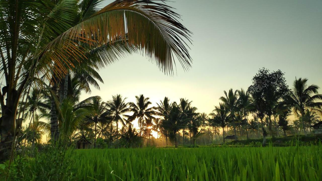 Second Home Bungalows เตเตบาตู ภายนอก รูปภาพ